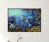 modern black wood framed original painting great barrier reef angel fish wall art print